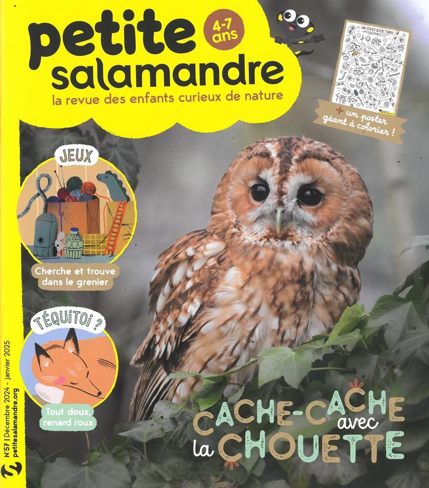 La Petite Salamandre