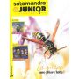 La Salamandre Junior